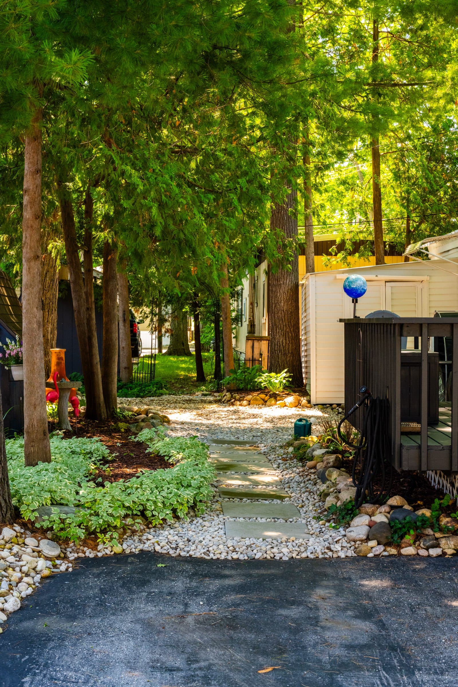 A resident's landscaped front yard, with a flagstone path running through river rock and ground cover beneath tall pines