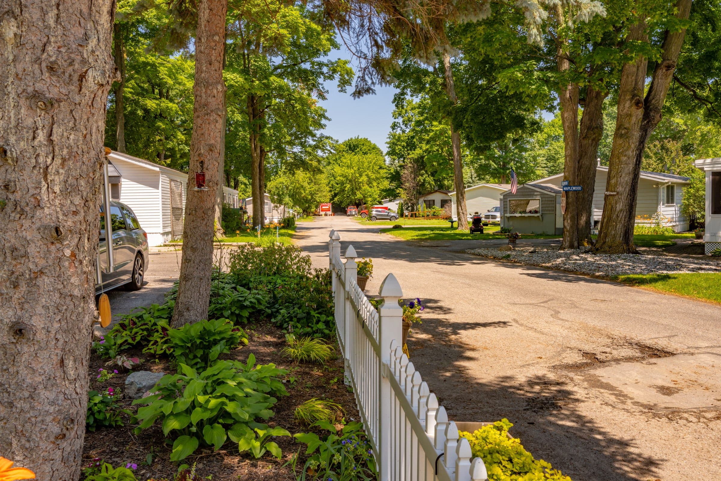 A shaded lane through the community, lined with a white picket fence and beds of hostas